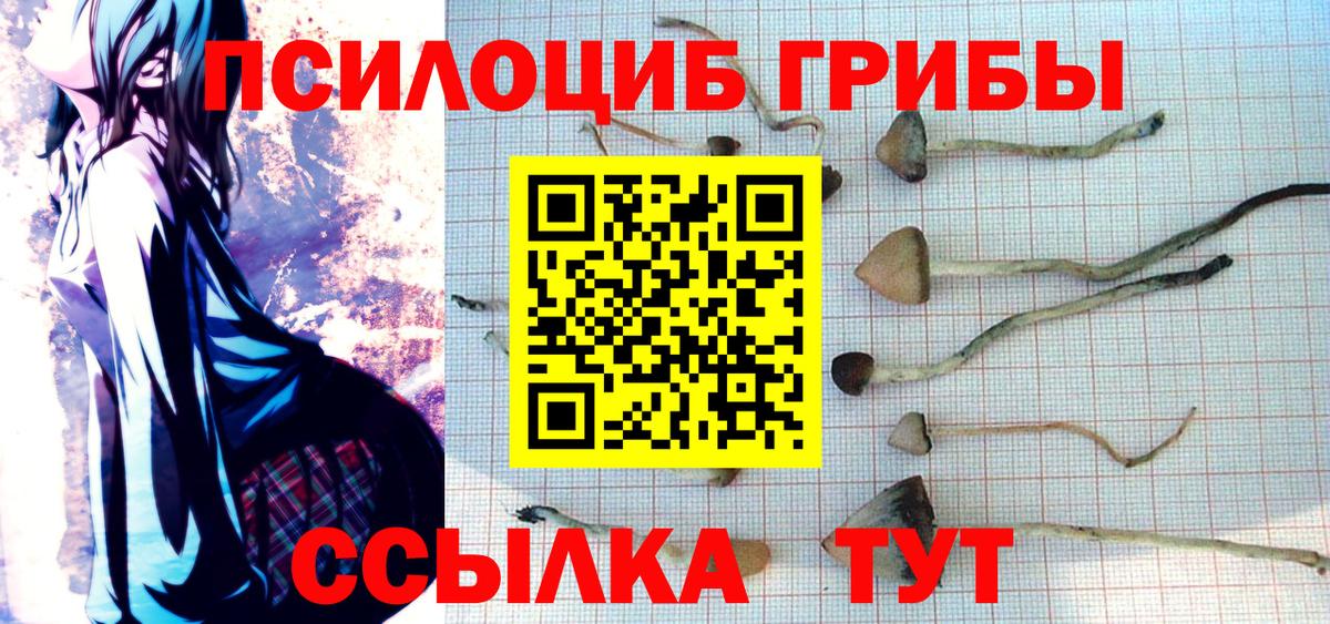 Галлюциногенные грибы GOLDEN TEACHER Борисоглебск