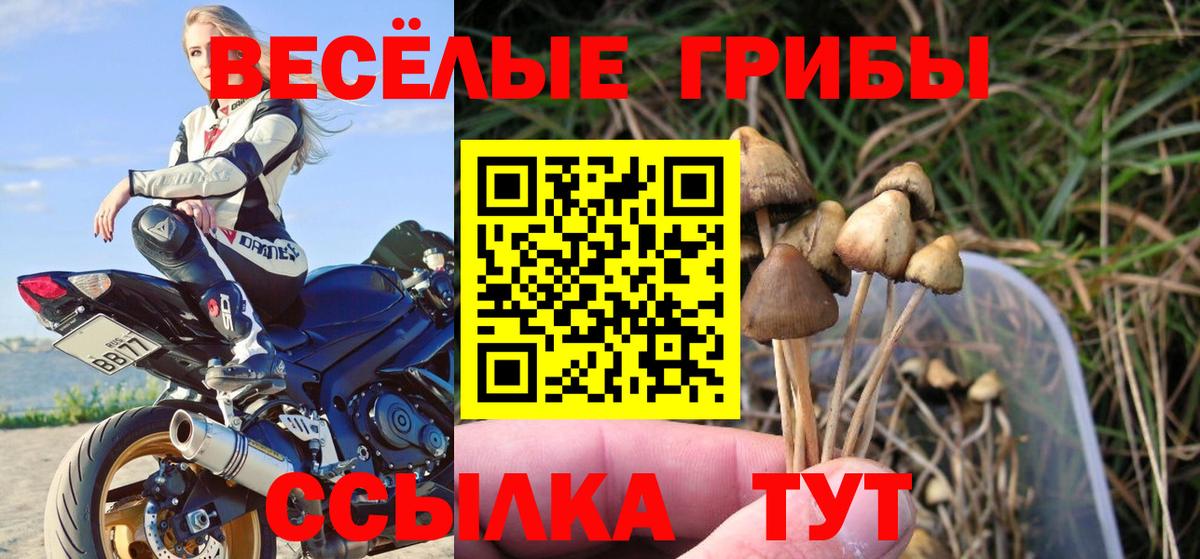 Псилоцибиновые грибы мицелий  купить закладку  Борисоглебск  Вход с VPN  Галлюциногенные грибы мицелий 